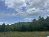 TBD Guinns Cove Road - Photo 18