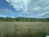 TBD Guinns Cove Road - Photo 19