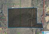 TBD Guinns Cove Road - Photo 2
