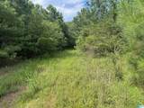 TBD Guinns Cove Road - Photo 20