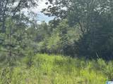 TBD Guinns Cove Road - Photo 21