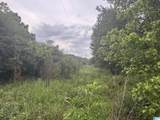 TBD Guinns Cove Road - Photo 22
