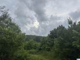 TBD Guinns Cove Road - Photo 23
