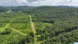 TBD Guinns Cove Road - Photo 5
