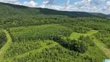TBD Guinns Cove Road - Photo 9