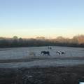 4759 County Road 55 - Photo 7