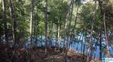 111 Quiet Cove Road - Photo 13