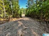UNKN County Road 19 - Photo 8