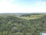 63 +/- Acres Stanley Road - Photo 17