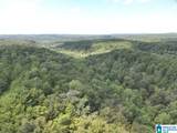 63 +/- Acres Stanley Road - Photo 20