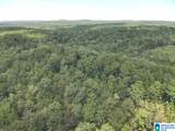 63 +/- Acres Stanley Road - Photo 21