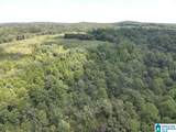 63 +/- Acres Stanley Road - Photo 22