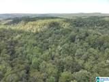 63 +/- Acres Stanley Road - Photo 25