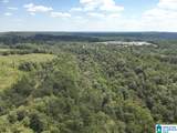 63 +/- Acres Stanley Road - Photo 30