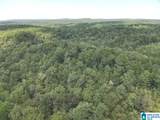 63 +/- Acres Stanley Road - Photo 31