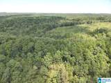 63 +/- Acres Stanley Road - Photo 33