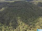 63 +/- Acres Stanley Road - Photo 34