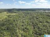 63 +/- Acres Stanley Road - Photo 35