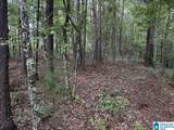 63 +/- Acres Stanley Road - Photo 4