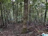63 +/- Acres Stanley Road - Photo 5