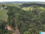 63 +/- Acres Stanley Road - Photo 6