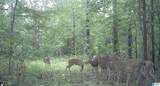 0 County Road 835 - Photo 17