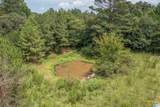 1400 Central City Lane - Photo 10