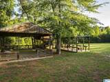 321 County Road 22 - Photo 19