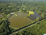 321 County Road 22 - Photo 43