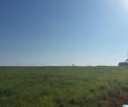 Lot 32 County Road 1464 - Photo 2