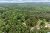 201 Shelby Forest Circle - Photo 53