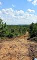 Tract 7 County Road 256 - Photo 1