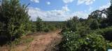 Tract 7 County Road 256 - Photo 9