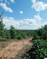 Tract 7 County Road 256 - Photo 10