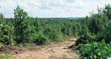 Tract 7 County Road 256 - Photo 11