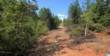 Tract 7 County Road 256 - Photo 3