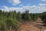 Tract 7 County Road 256 - Photo 5