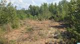 Tract 7 County Road 256 - Photo 7