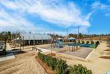 19 Blackridge Circle - Photo 64