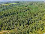 Lot 20 Shoreside Drive - Photo 15