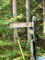 Lot #1 Mallory Circle - Photo 7