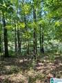 Lot #1 Mallory Circle - Photo 8