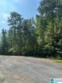 Lot #1 Mallory Circle - Photo 9