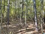 Lot #2 Highway 75 - Photo 3
