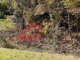 Lot #2 Highway 75 - Photo 4
