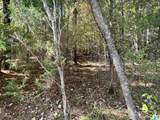 Lot #2 Highway 75 - Photo 5
