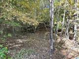 Lot #2 Highway 75 - Photo 6