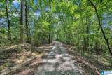 945 County Road 1219 - Photo 28