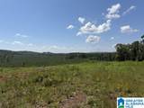 TBD Grissom Ferry Road - Photo 1
