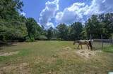 2524 Rhody Drive - Photo 62